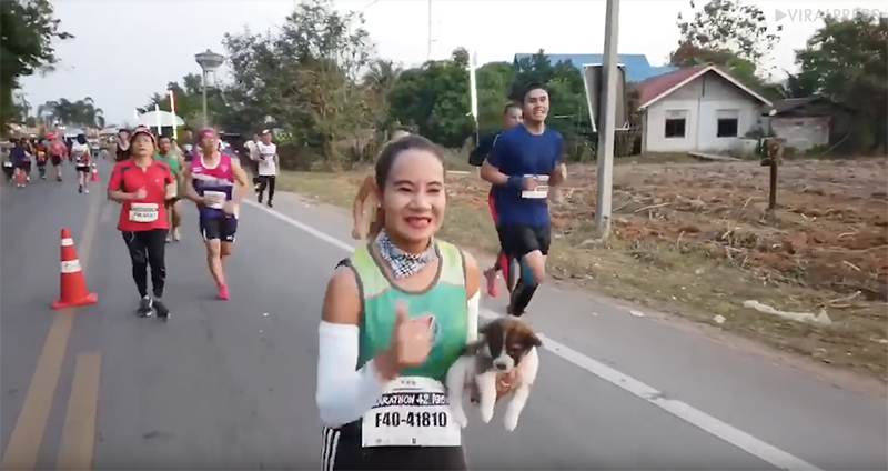Corredora resgata cãozinho durante maratona 2
