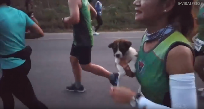 Corredora resgata cãozinho durante maratona 1