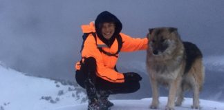 Cachorra morre após proteger corredora de ataque de urso